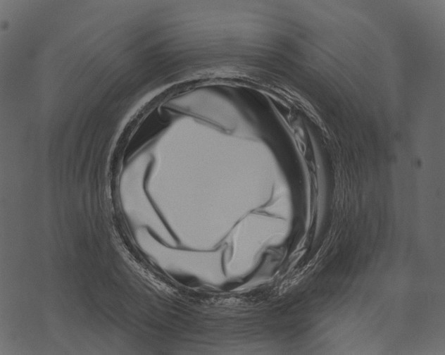X0000073400784200608251458
