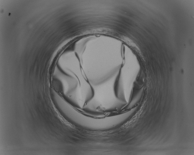 X0000073400792200608251458