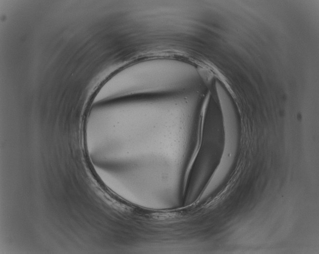 X0000073400795200608251458