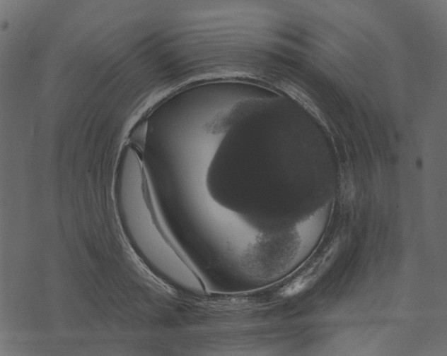 X0000073400797200608251458