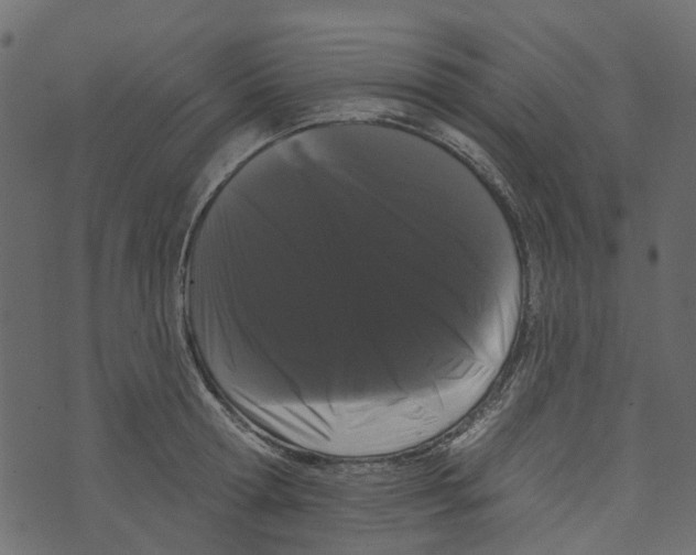 X0000073400802200608251458