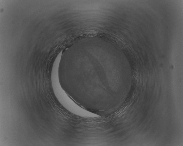 X0000073400818200608251457