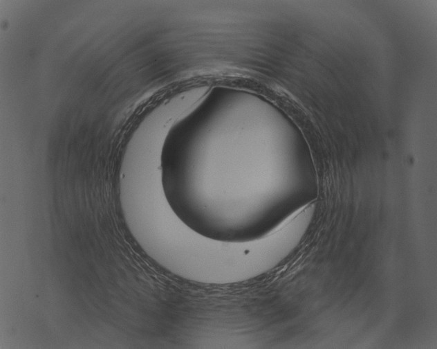 X0000073400822200608251457