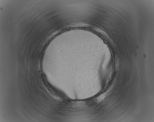 X0000073400833200608251457