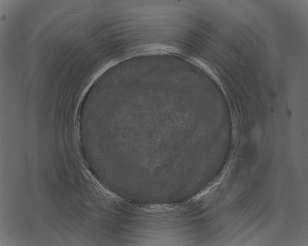 X0000073400835200608251457