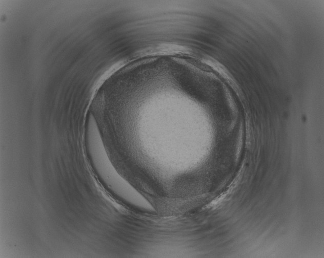 X0000073400850200608251457