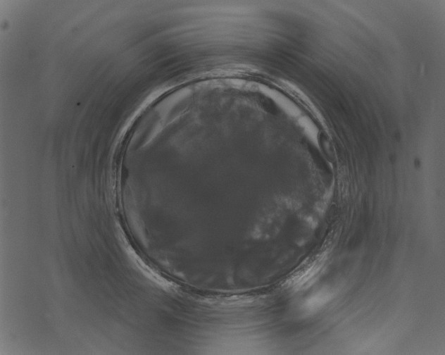 X0000073400851200608251457