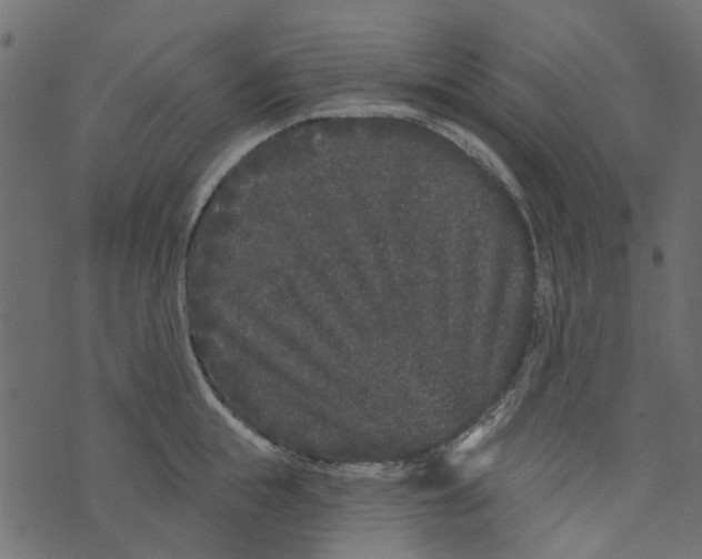 X0000073400855200608251457