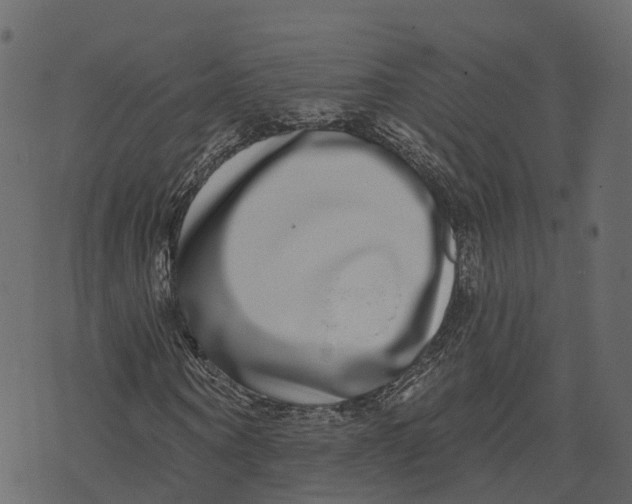 X0000073400866200608251457