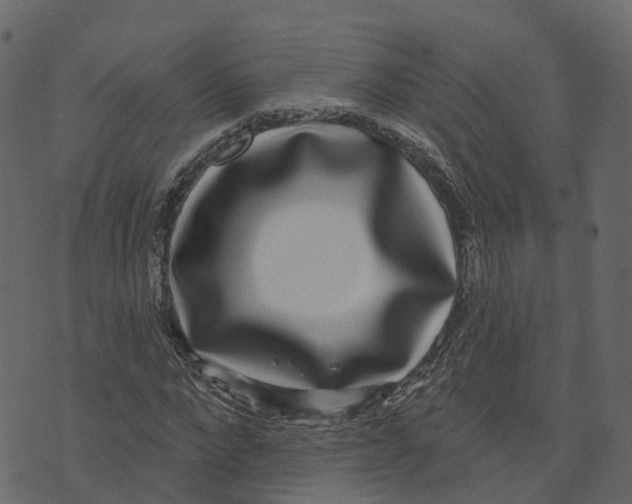 X0000073400872200608251457