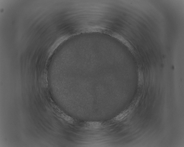 X0000073400878200608251457