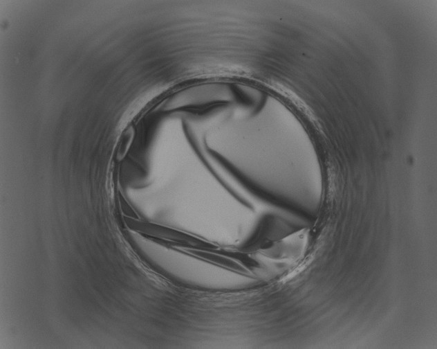 X0000073400885200608251456