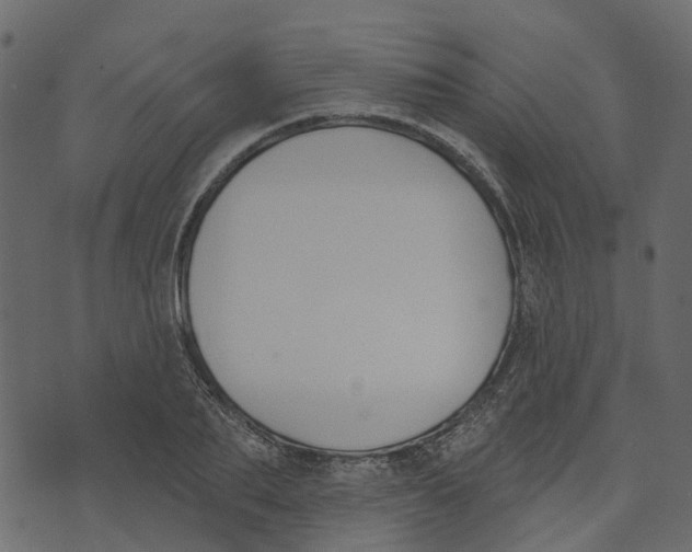 X0000073400887200608251456
