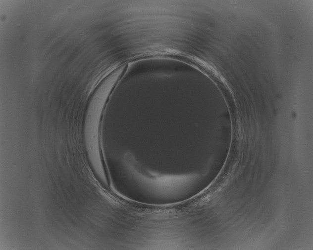X0000073400889200608251456