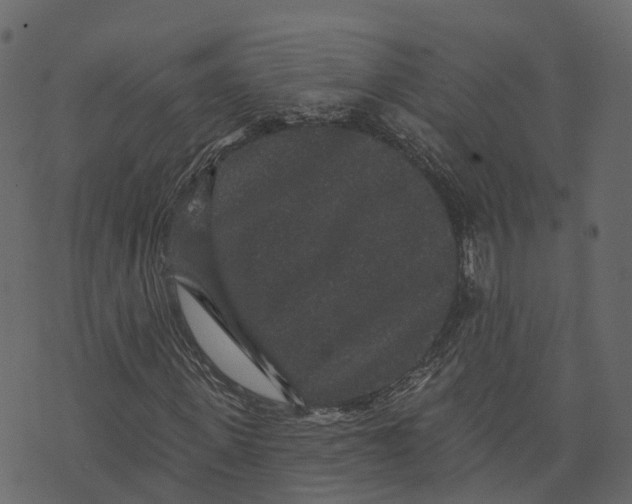 X0000073400915200608251455