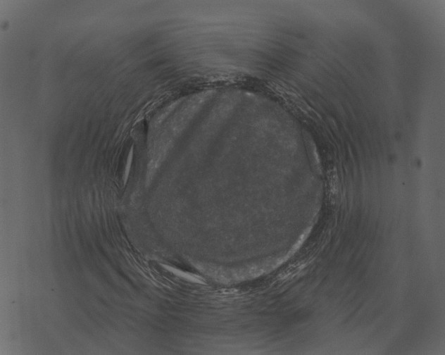 X0000073400916200608251455