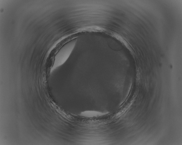 X0000073400923200608251455
