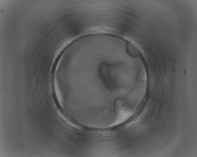 X0000073400941200608251456