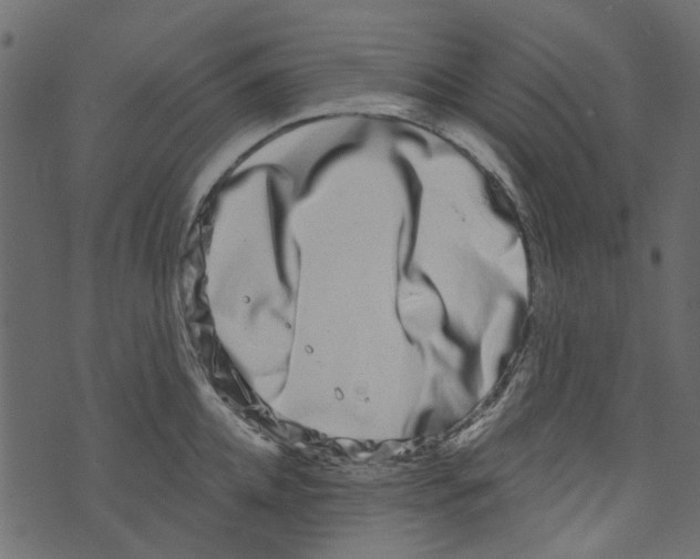 X0000073400952200608251456