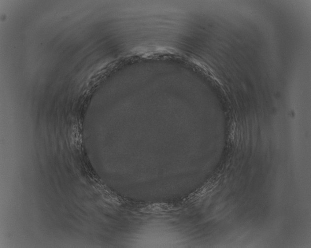 X0000073400966200608251455