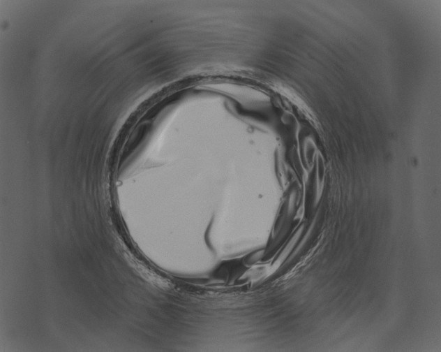 X0000073400976200608251455