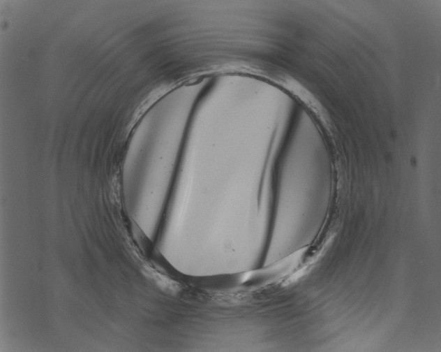 X0000073401001200608251455