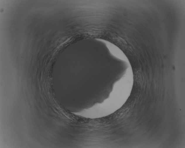 X0000073401009200608251454