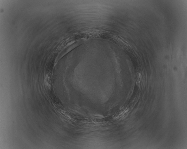 X0000073401010200608251454