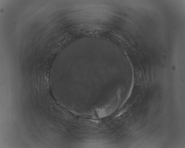 X0000073401013200608251454