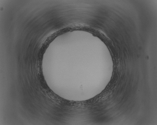 X0000073401016200608251454