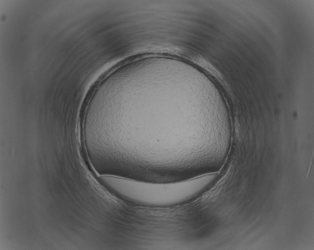 X0000073401028200608251454