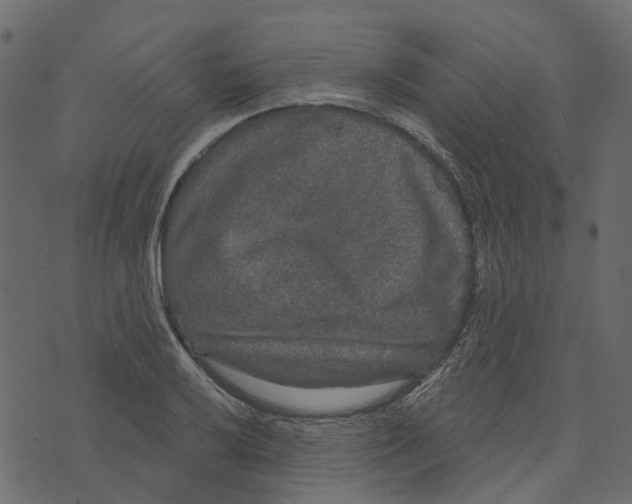 X0000073401032200608251454