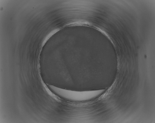 X0000073401042200608251454