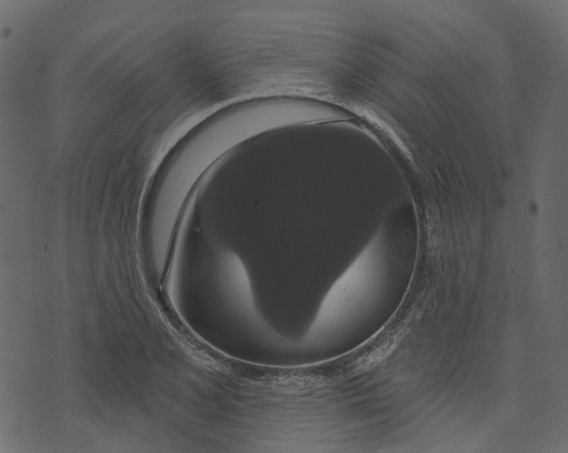 X0000073401077200608251453