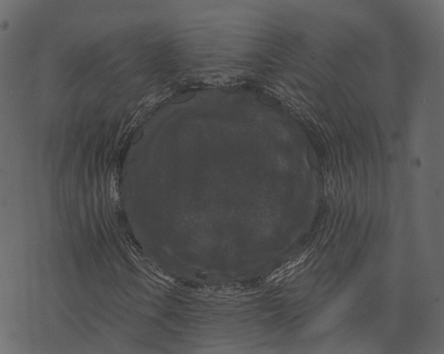 X0000073401106200608251452