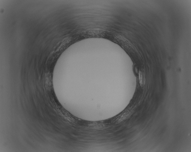 X0000073401107200608251452