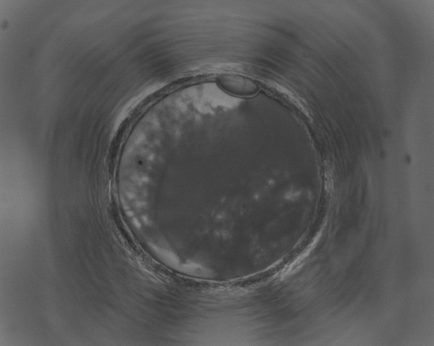 X0000073401117200608251452