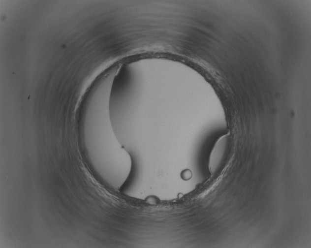 X0000073401118200608251452