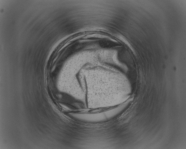 X0000073401124200608251452