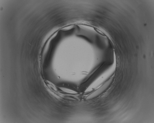X0000073401151200608251453