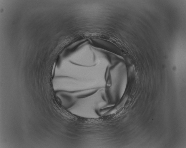 X0000073401153200608251452
