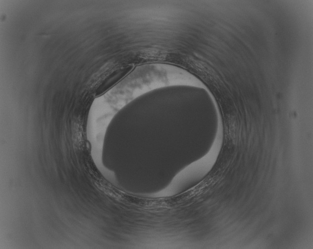 X0000073401154200608251452