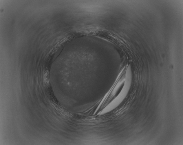 X0000073401156200608251452