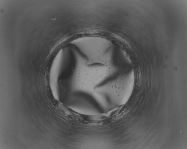 X0000073401160200608251452
