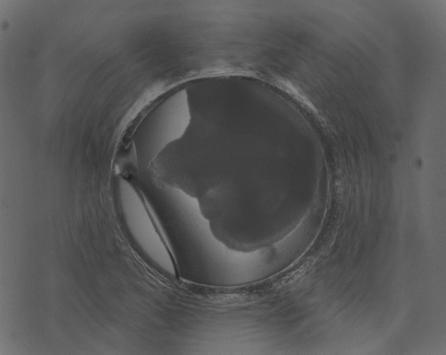 X0000073401173200608251452