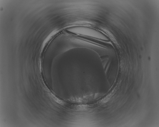 X0000073401180200608251452