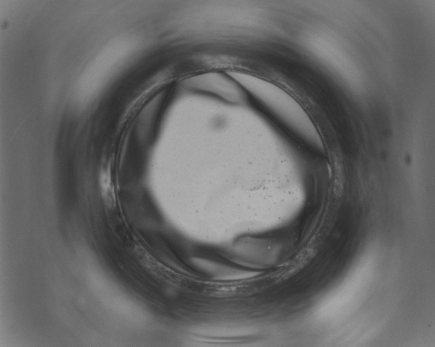 X0000073401198200608251451