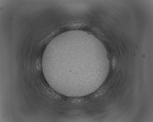 X0000073401204200608251451