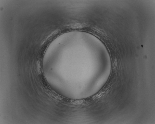 X0000073401205200608251451
