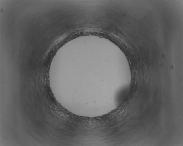 X0000073401207200608251451